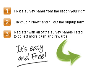 Survey Steps